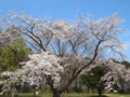 th_VB3A7968.jpg